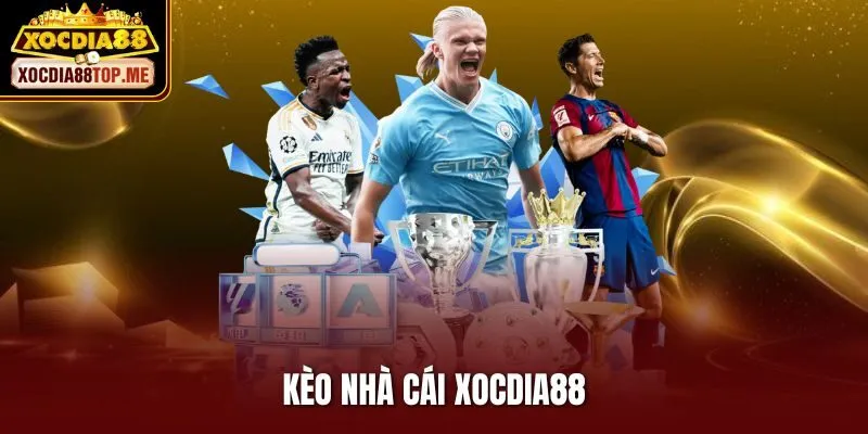 Kèo Nhà Cái Xocdia88 – Đặt Cược Chuẩn, Thắng Lớn Liên Tiếp